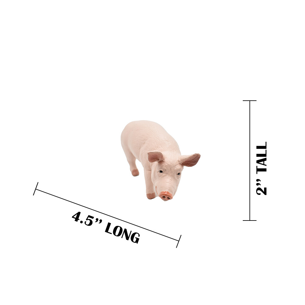 PIG / Boar Domestic Plastic Replica 4 1/2 -inch replica – F2024 B143