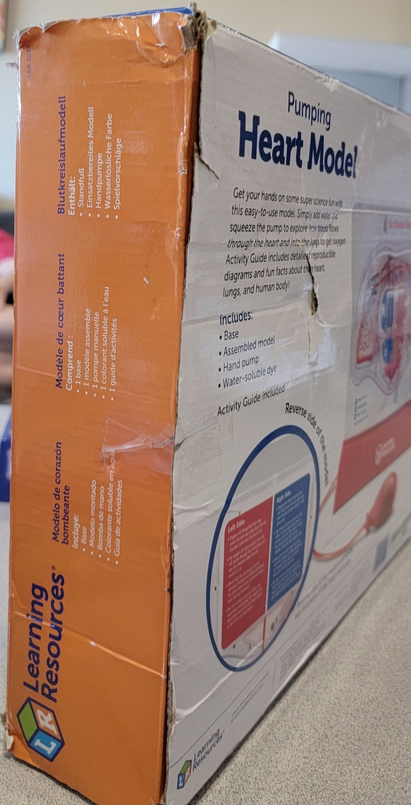 Learning Resources LER3535 Pumping Heart Model, Teaching Aid, Educational