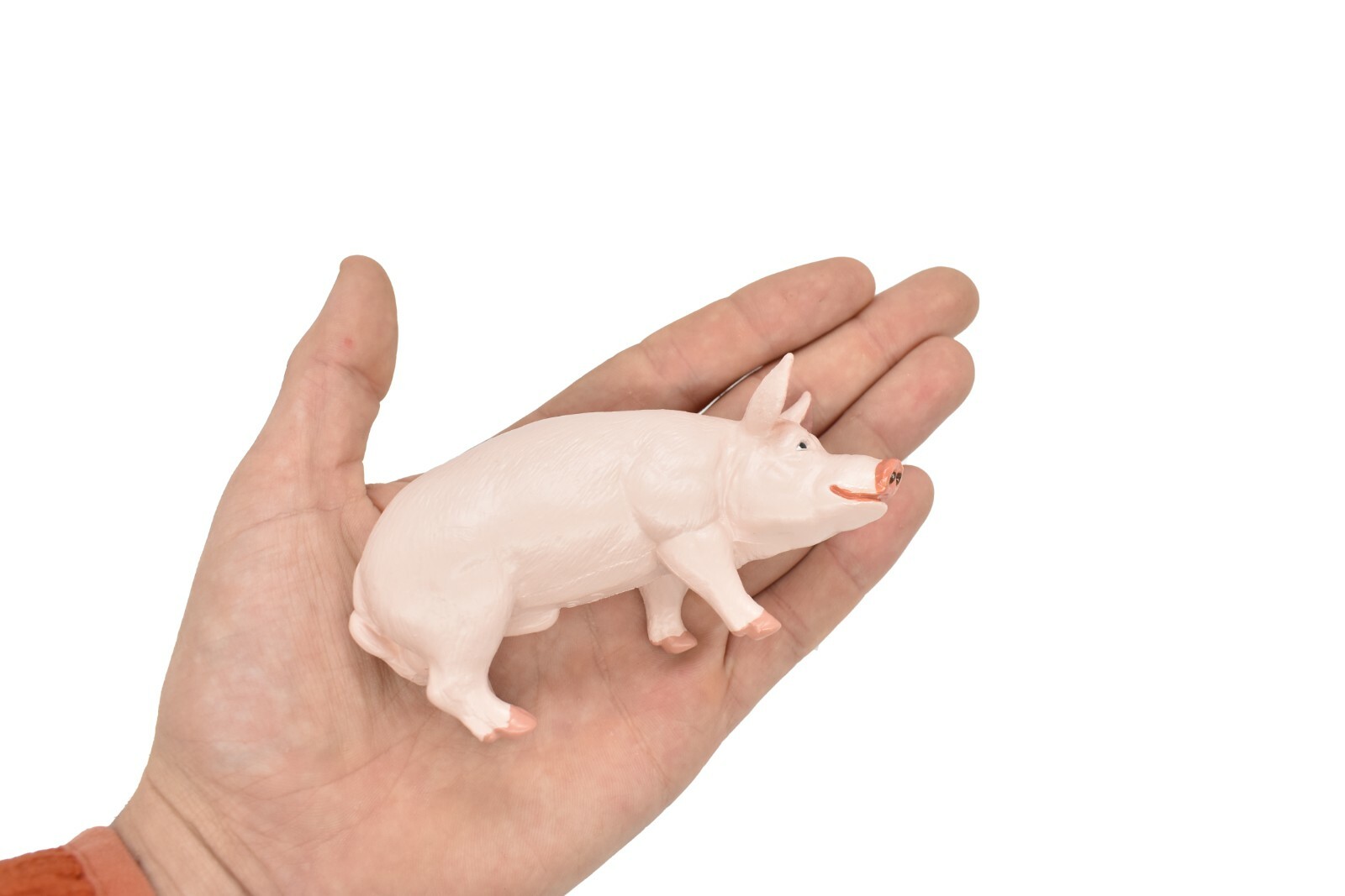 PIG / Boar Domestic Plastic Replica 4 1/2 -inch replica – F2024 B143