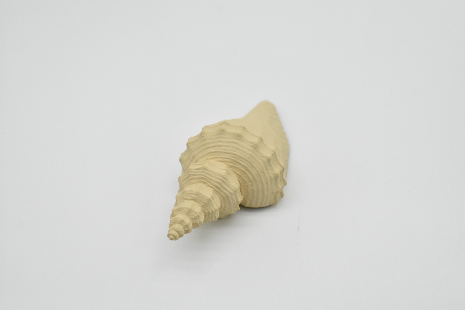 Tuba Shell Toy, White, Sea Snail, Ocean, Sea Shell, Gift, 3″ F4112 B96