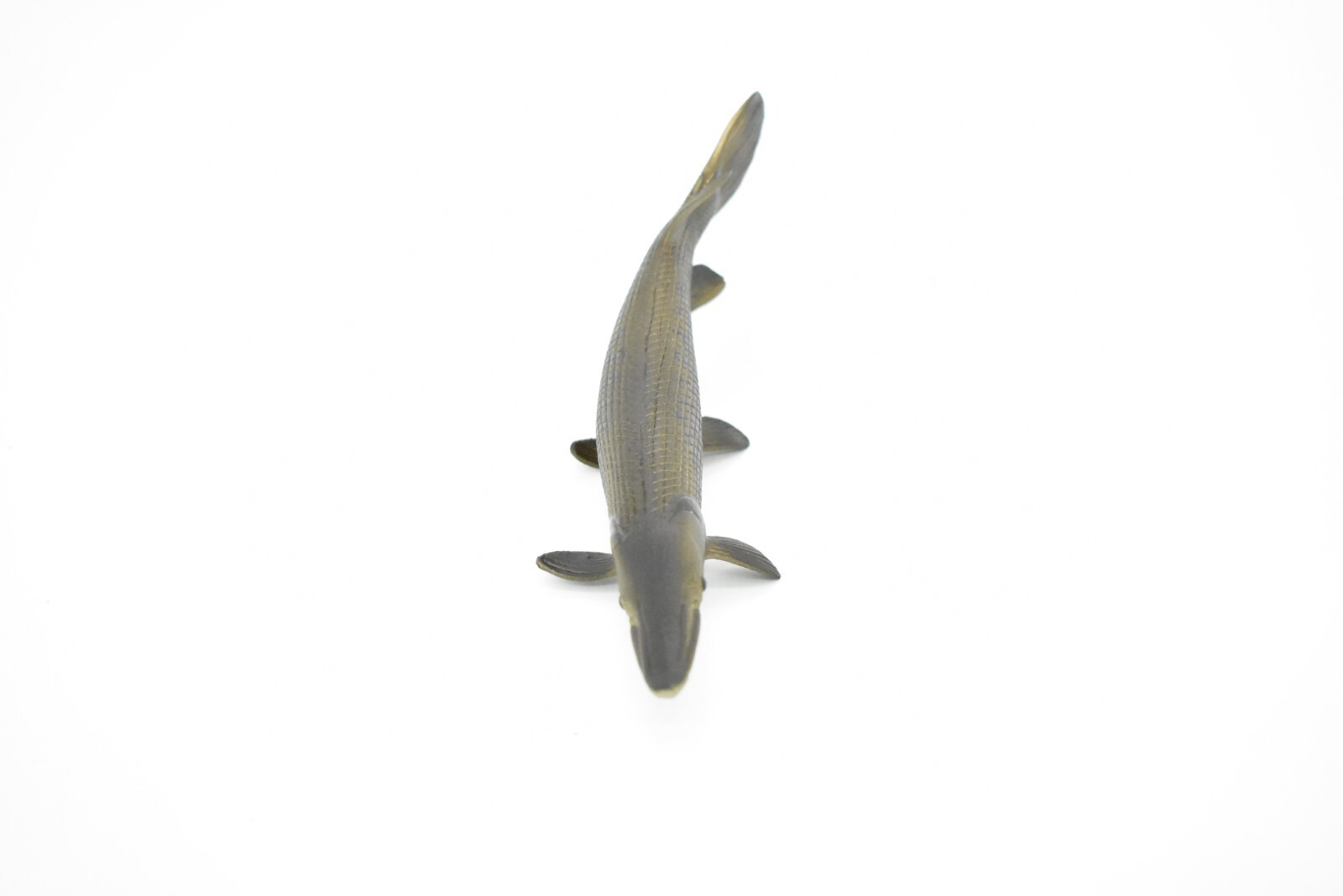 Alligator Gar, Fish Replica, Very Realistic Rubber Model, Hand Painted Toy 6″