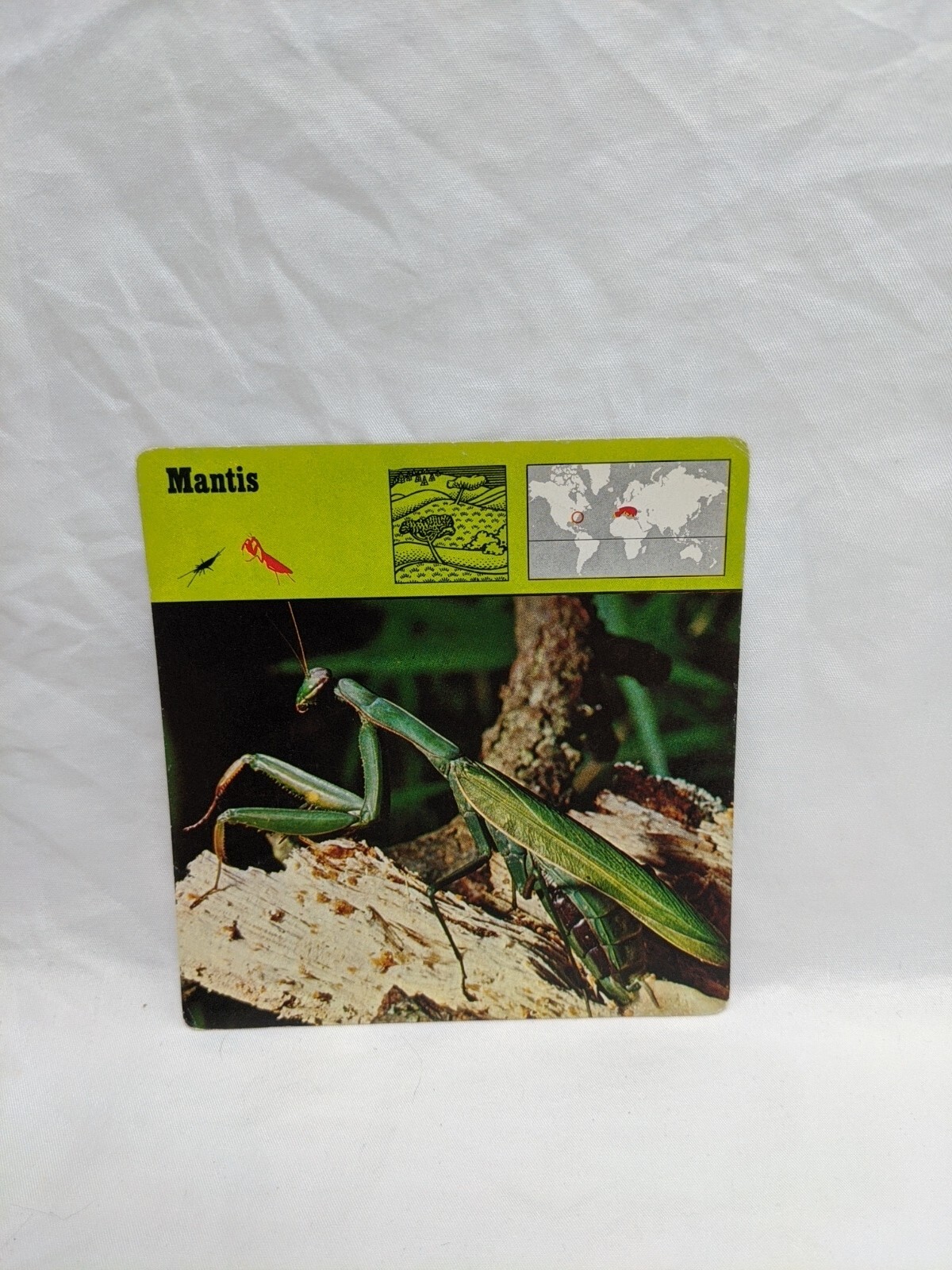 Lot Of (3) 1975 Rencontre Arthropods III Education Cards