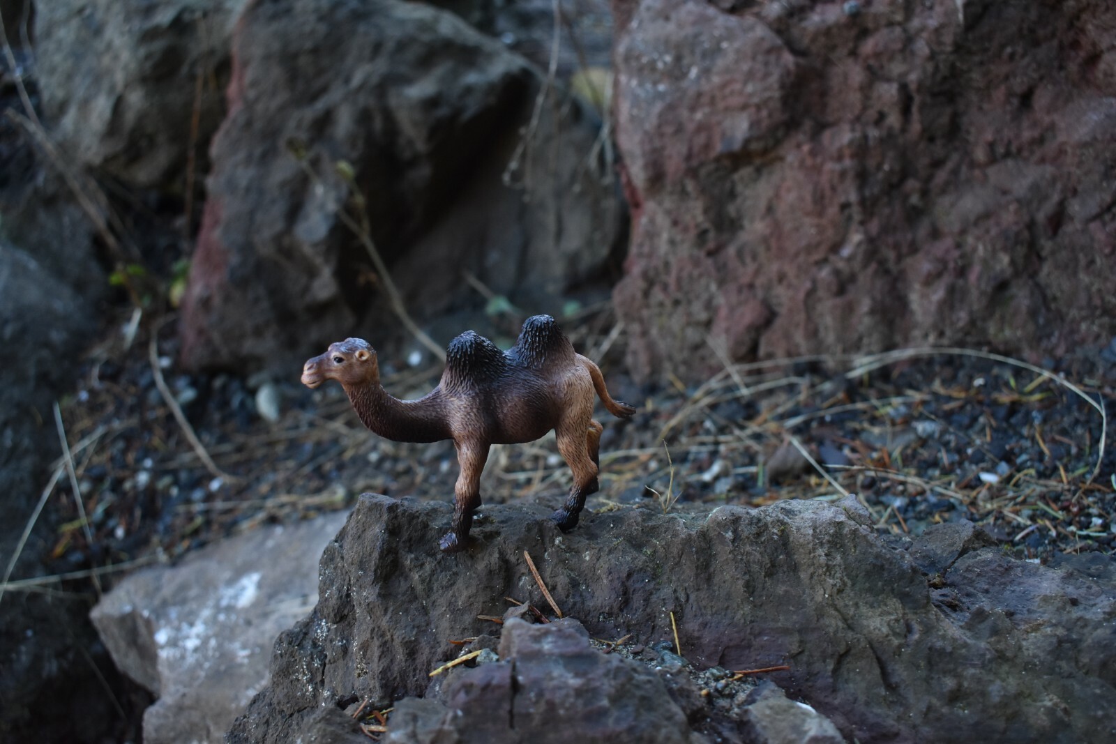 Camel Double Hump Realistic Small Toy Model Plastic Replica Animal 4.5″ OK17
