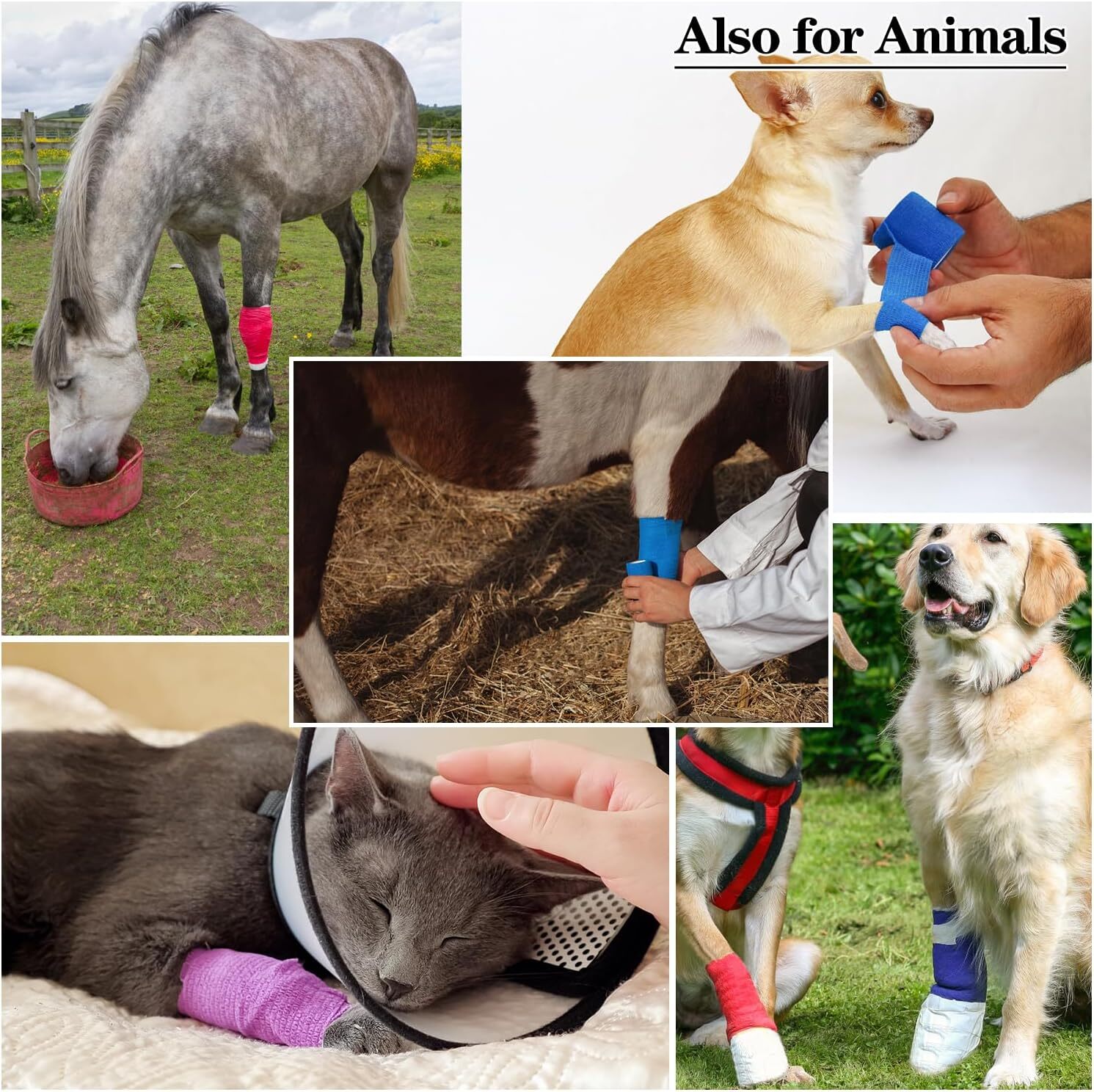 1″/2″/3″/4″ Self Adhesive Bandage Wraps, 6/12/24/48 Pack Vet Wraps, 12 Colors to