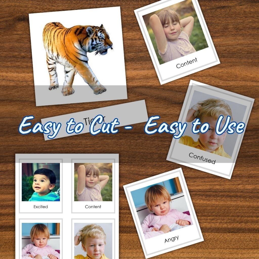 PreK-K Mega Montessori Bundle | 1000+ Digital Worksheets+Planners & Much More