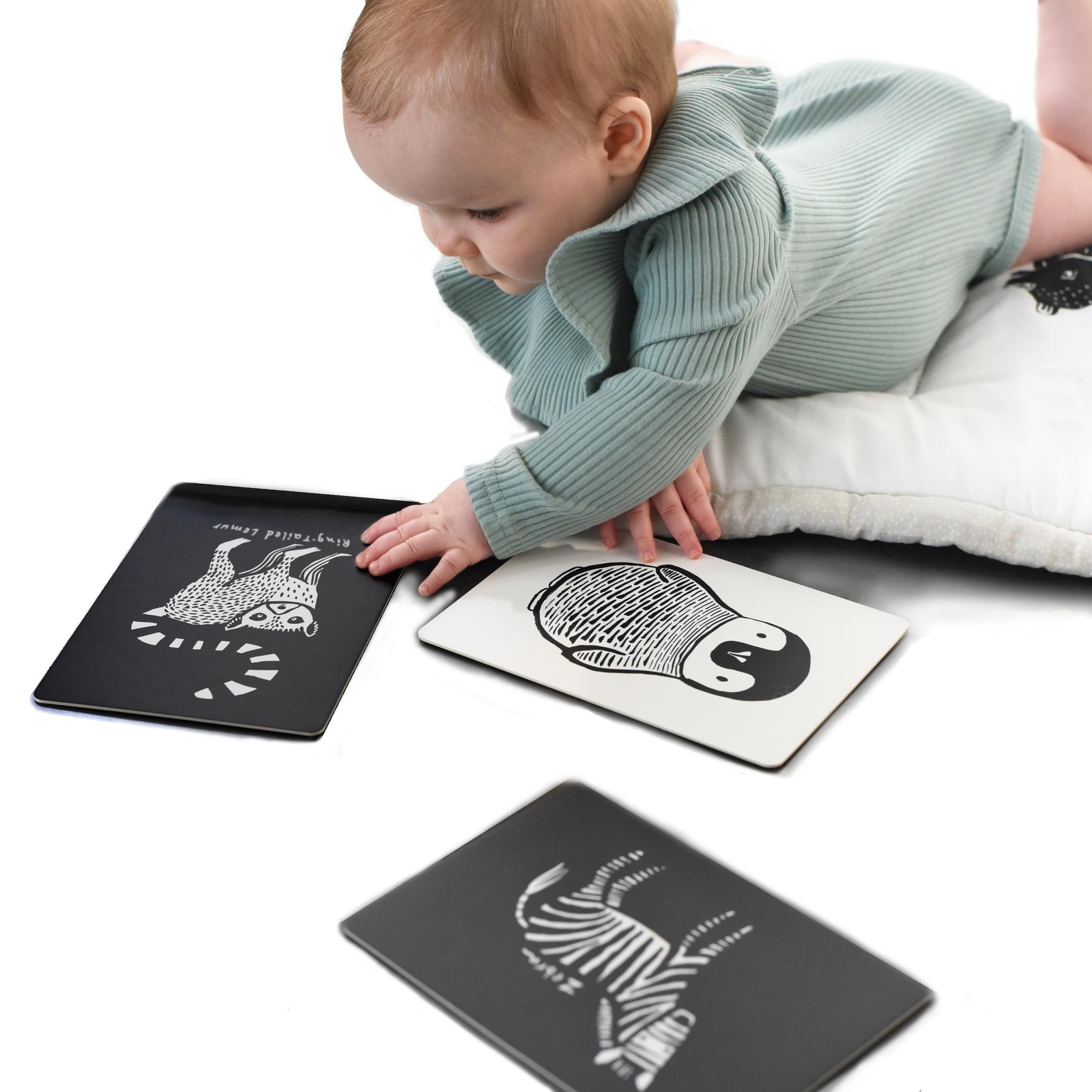 Art Cards for Baby, Durable High Contrast Black and White Animal Flashcards f…
