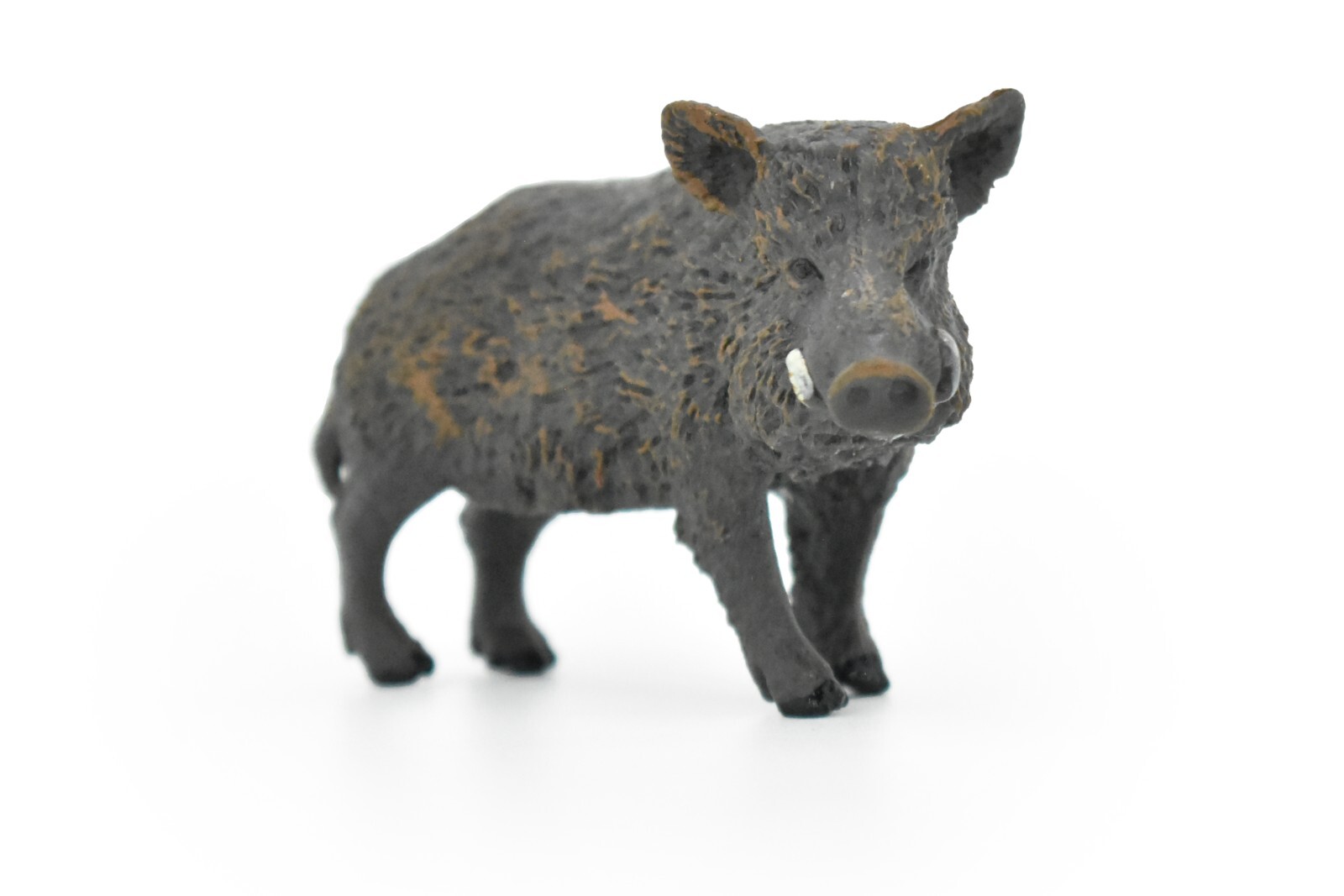 Wild Boar, Javelina Pig Figure, Educational Animal Kids, 3″ CWG177 BB41
