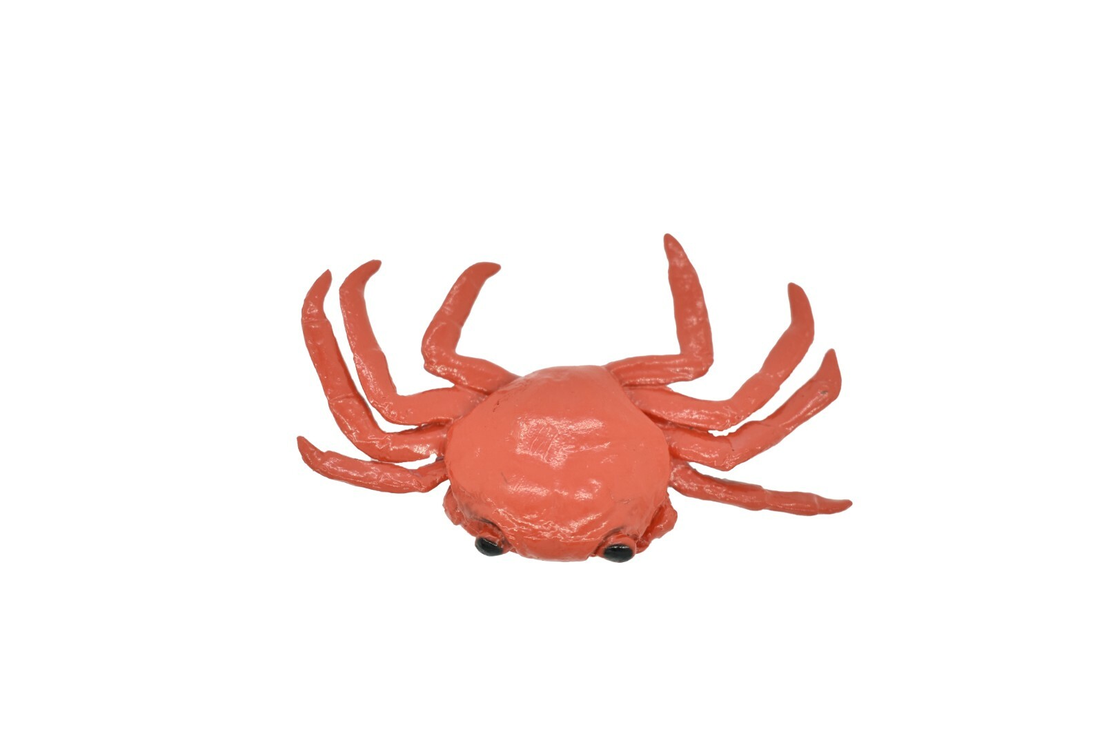 Crab Sally Lightfoot, Galapagos Islands, Plastic Replica 2″ F1591 B150