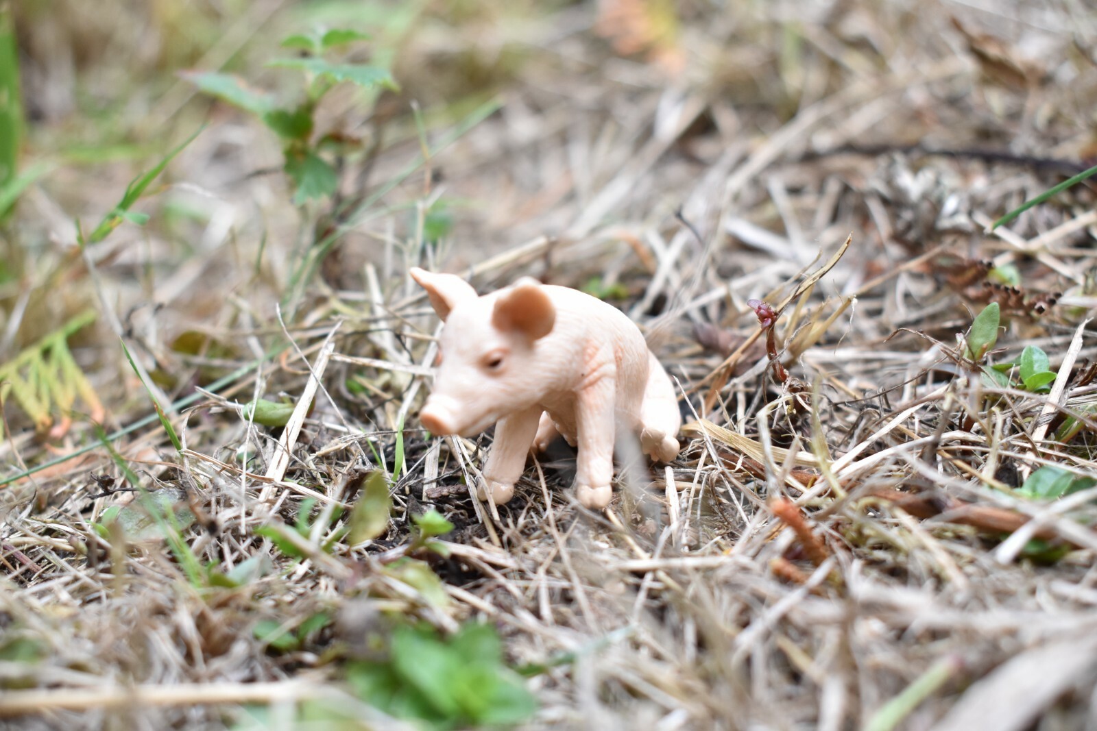 Piglet Sitting ~ Plastic Replica 2″ ~ F8005-B114