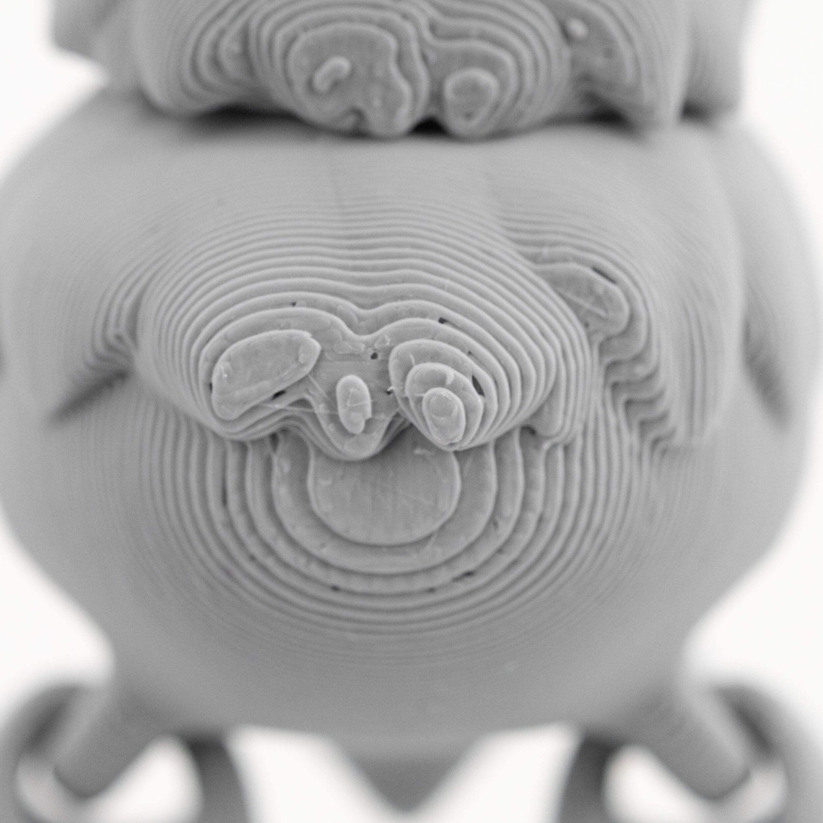 3D Printed Sloth Fidget With Tree Props | Multiple Colors | Black Sheep Products