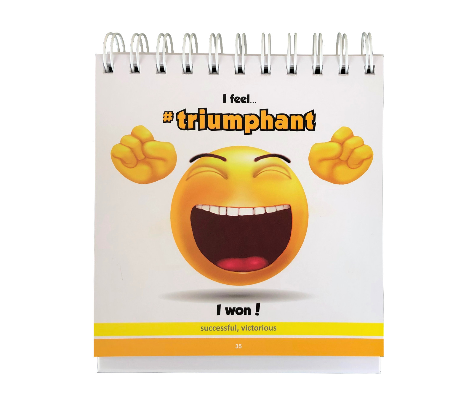 REAL FEELS Flip book of Feelings