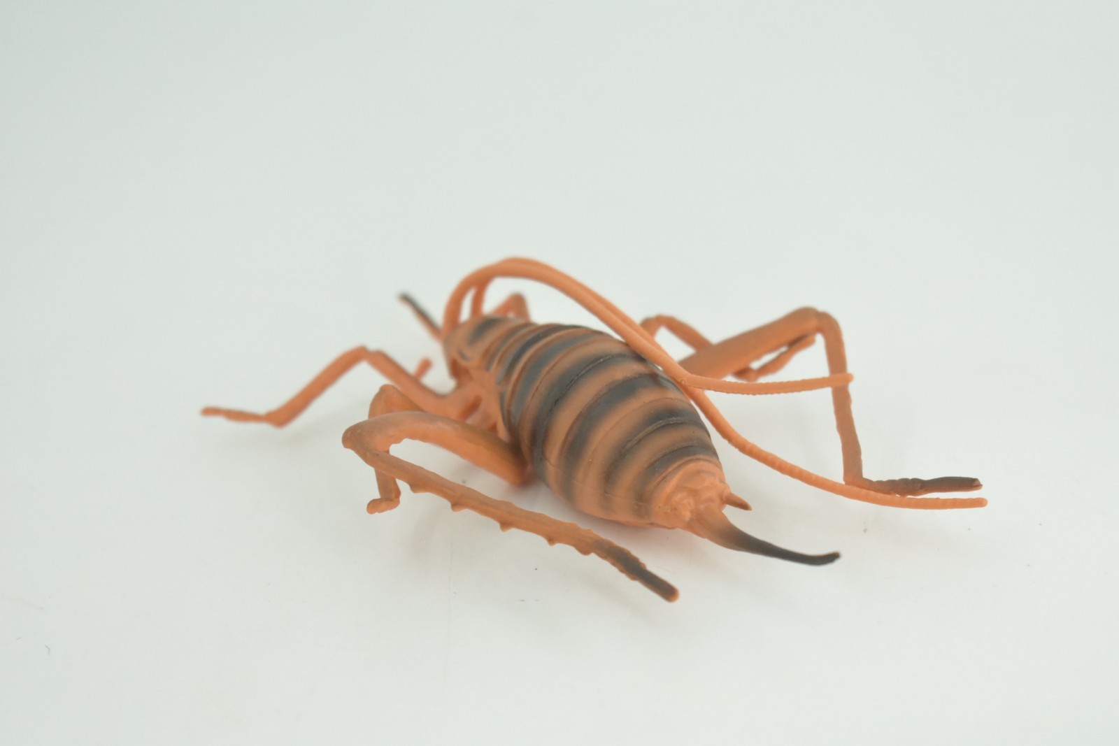 Cricket Toy, Hand Painted, Hard Rubber, High Quality, Realistic Bug, Gift CH1025