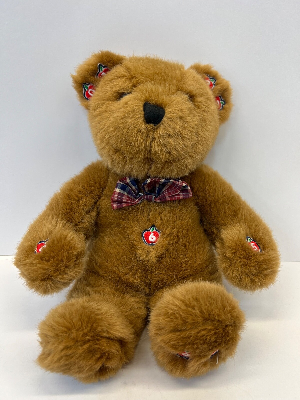 1998 General Creation Educational Teddy Bear Teachers Math Plush w/ Cards WORKS