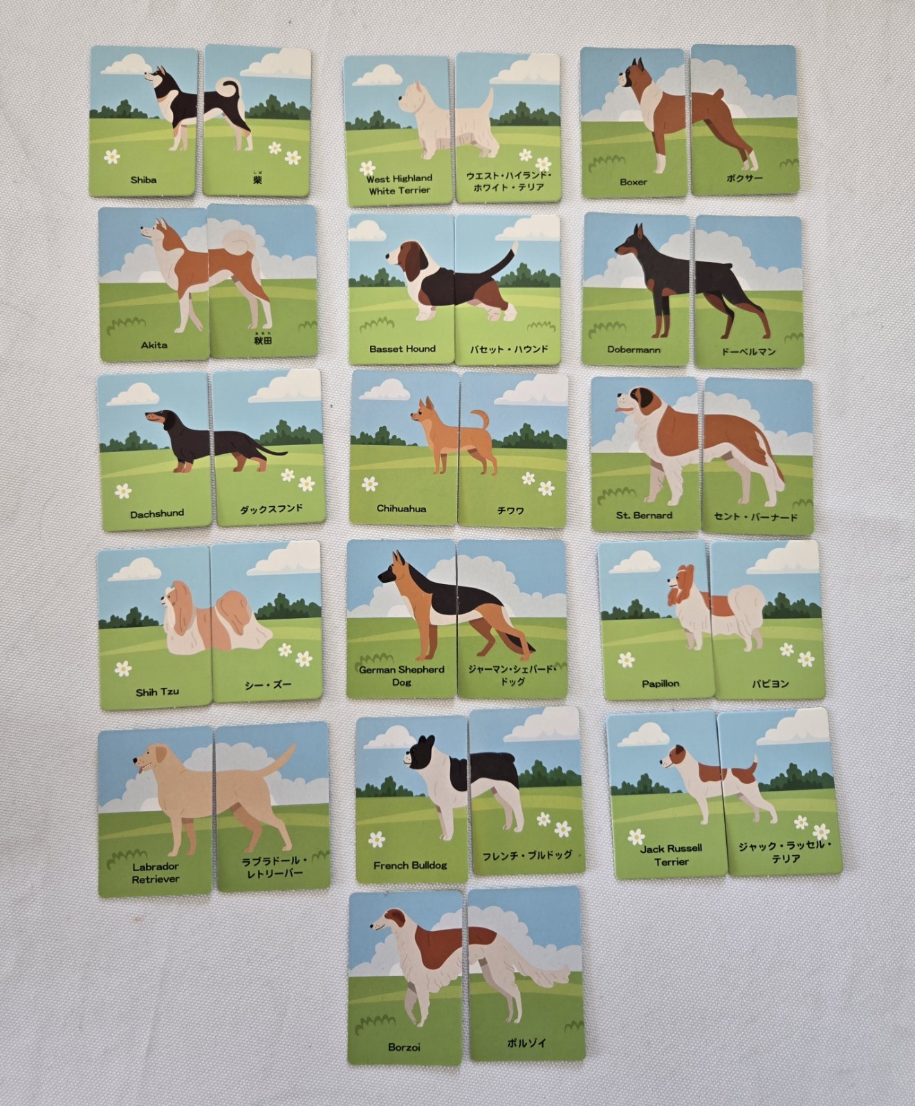 Daiso Picture Matching Cards, 32 Dog Breed for Japanese/English Learners
