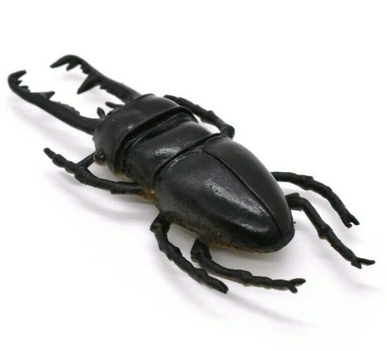 Stag Beetle, Very Nice Rubber Reproduction 2 3/4″ CWG07 B13