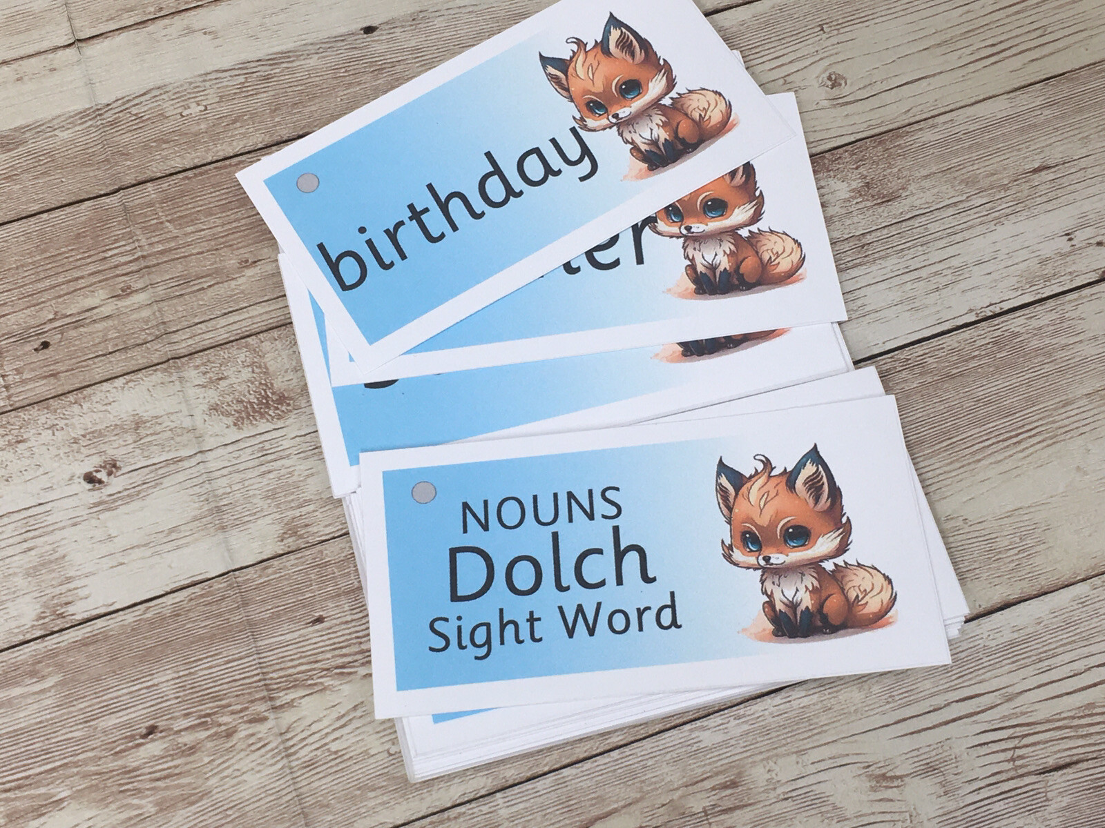 Literacy Learning Resource Dolch Nouns Word and Ring 95 Words