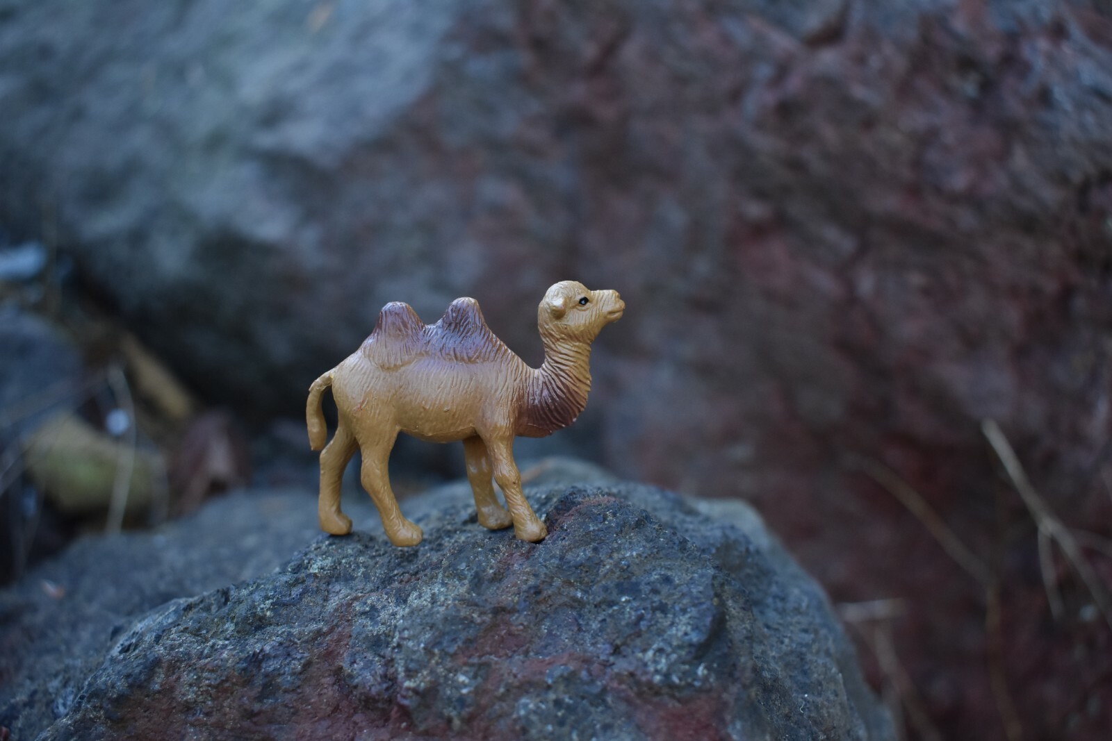 Camel, Bactrian, Plastic Toy Animal, Kids Gift, Realistic Figure, 2.75″ F3548