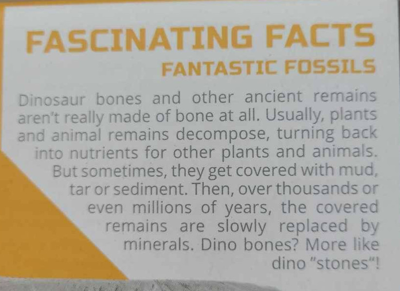 Discovery #Mindblown Colossal Fossil Dig Excavation Kit 15 Different Types New