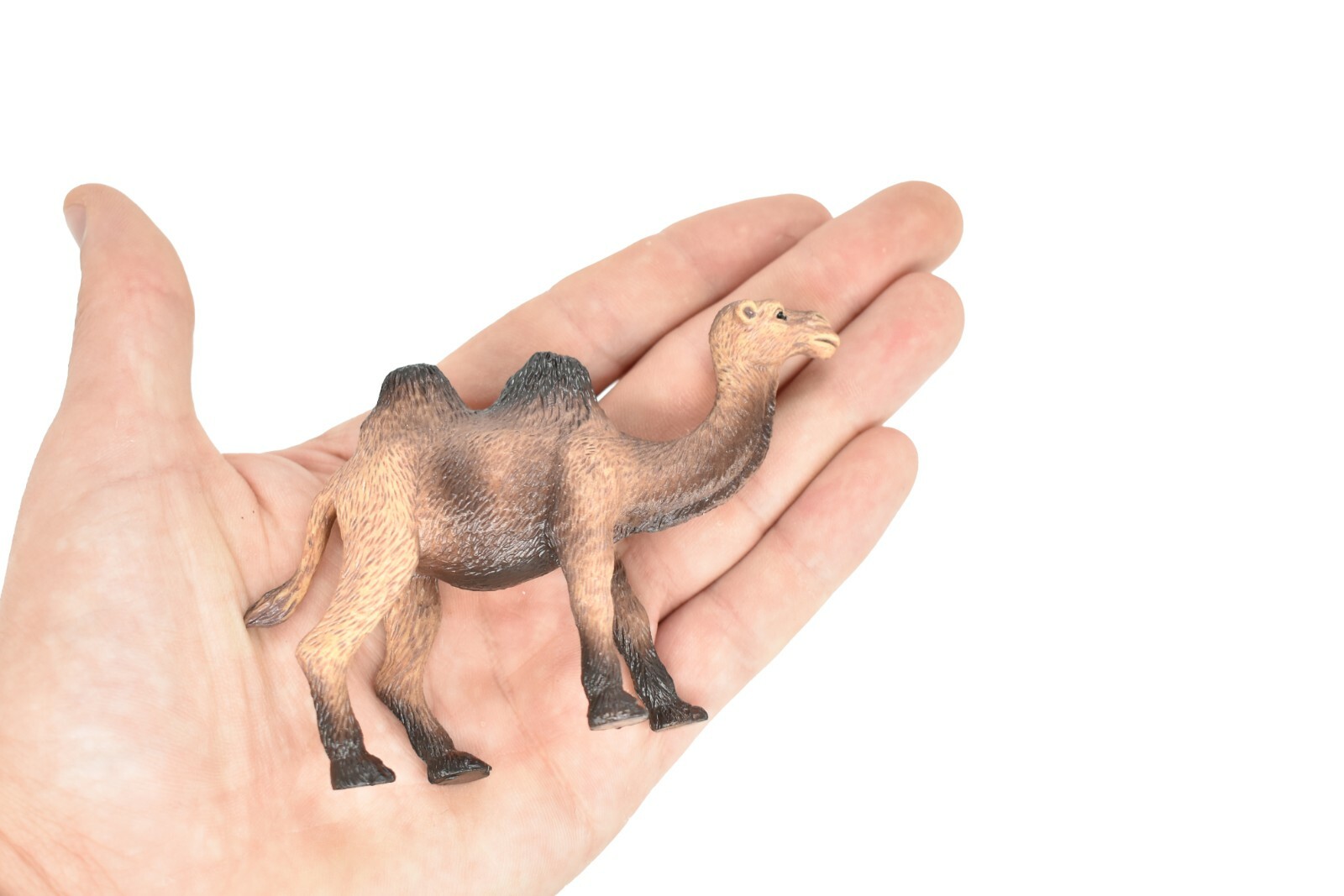 Camel Double Hump Realistic Small Toy Model Plastic Replica Animal 4.5″ OK17