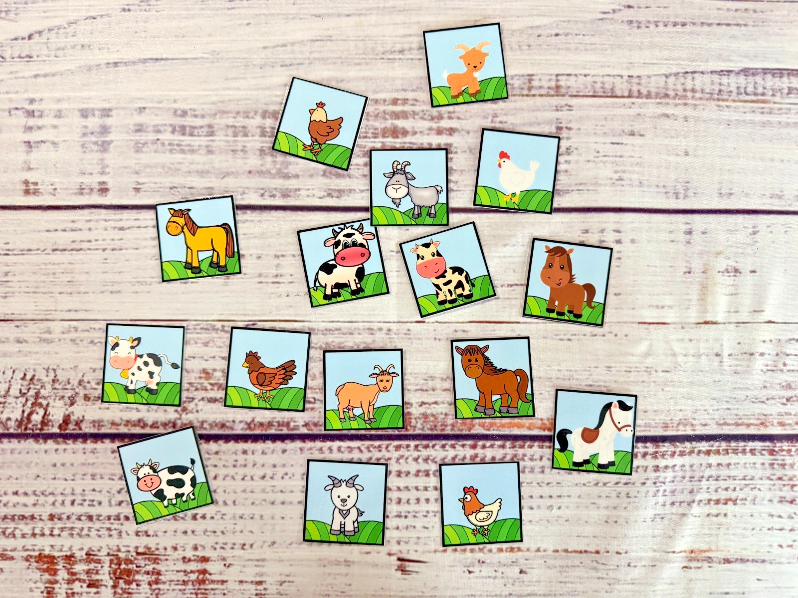 On the Farm Animal Picture Sorting Preschool Toddler File Folder Game