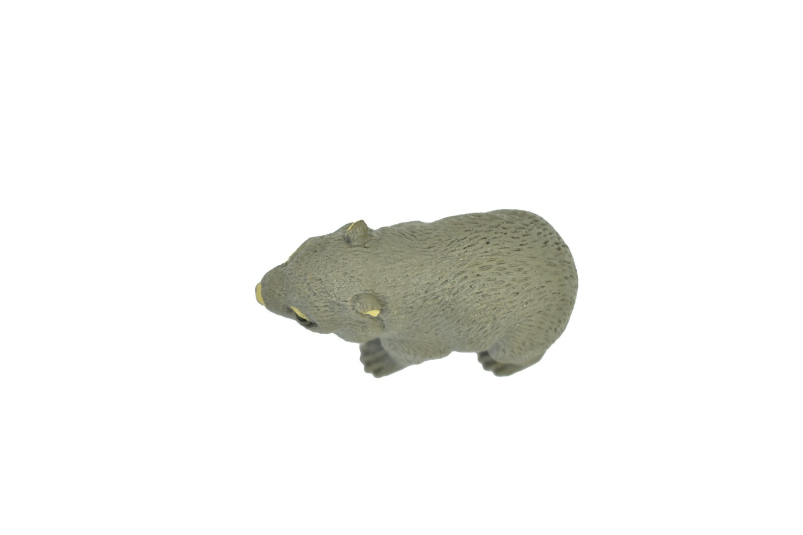 Wombat, ~ Very Nice Plastic Replica 2″ ~ F1090-B170