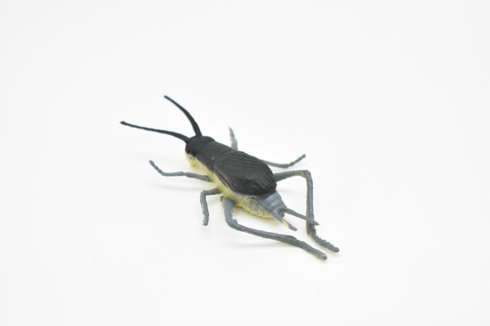 Cricket, Rubber Toy Animal, Realistic Figure, Model, Replica, Kids Gift 3″ F1058