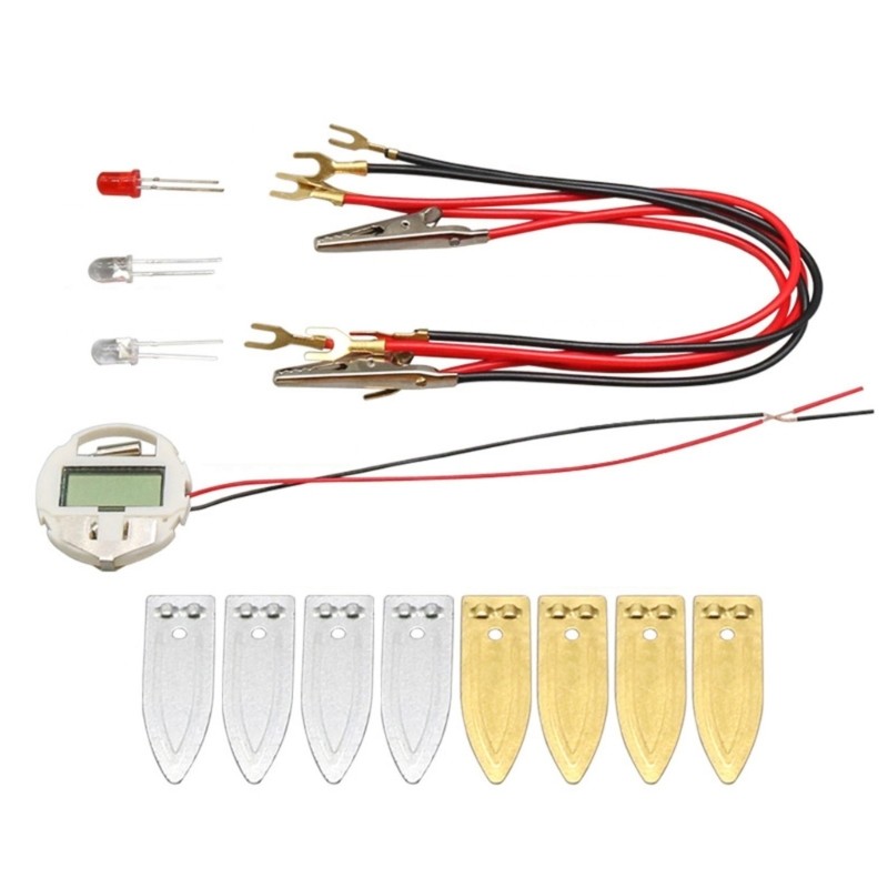 Interactive Fruit Powered Electricity Experiment Set for Kids Teen Student 7 ＋