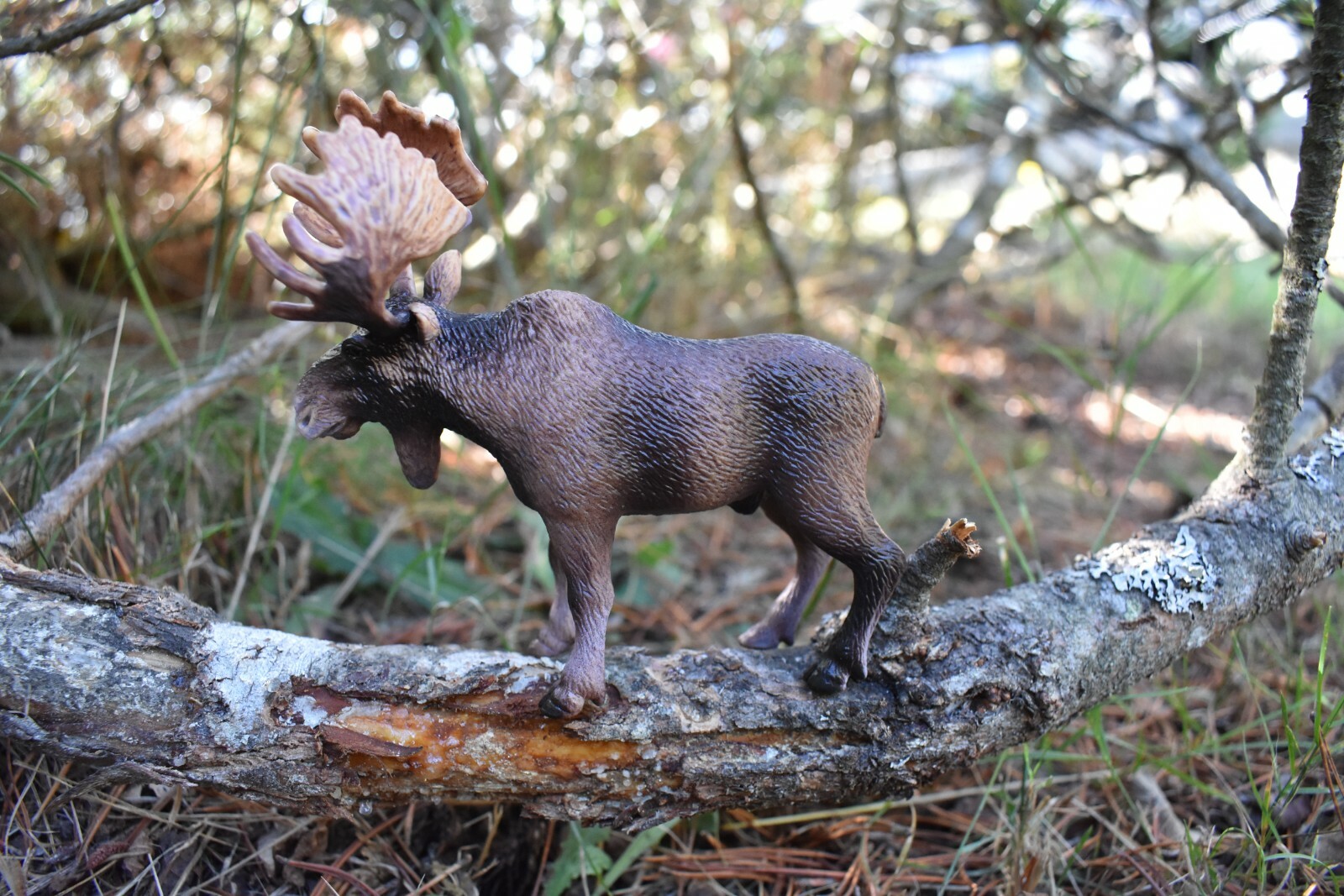 Moose Toy Model Plastic Replica Forest Animal, Kids Educational Gift 4″ OK613 B6
