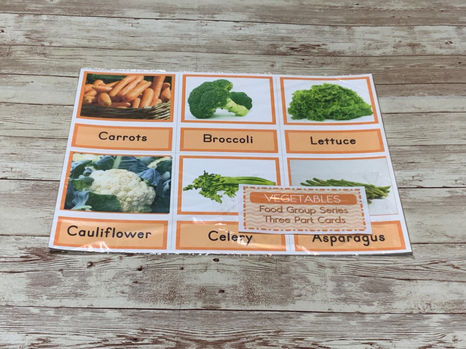 Montessori – Vegetables – Food Groups Series – Three Part Card – (PRINTED) DIY