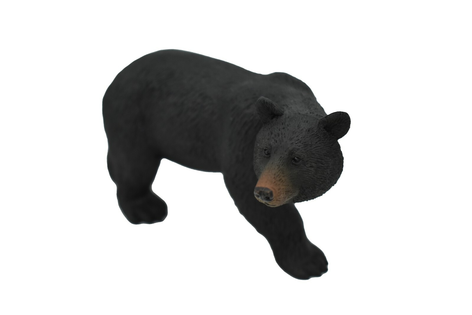 Black bear, Museum Quality Plastic Replica 4.5″W x 2.5″T M123-B648