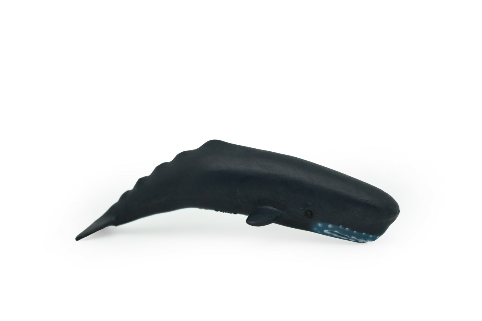 Sperm Whale, Very Nice Plastic Replica 3″ F1007 B42