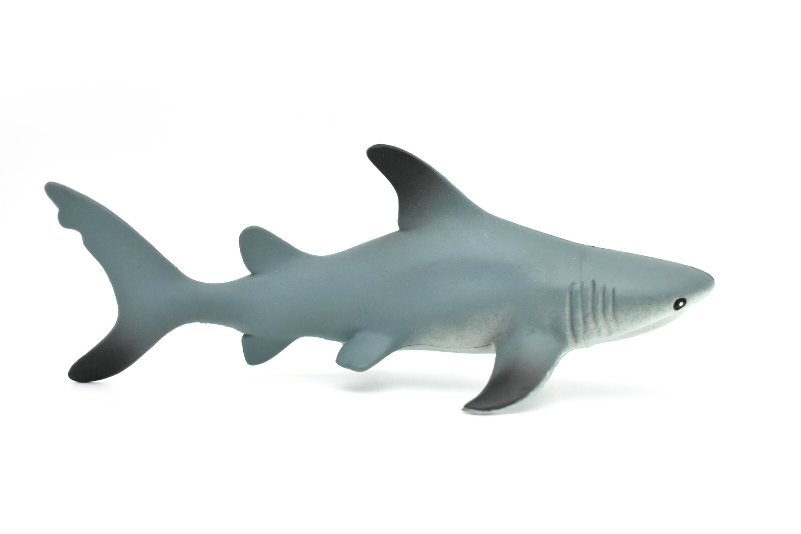 Black tip Shark, Very Nice Rubber Replica 6″ – F1898 B20