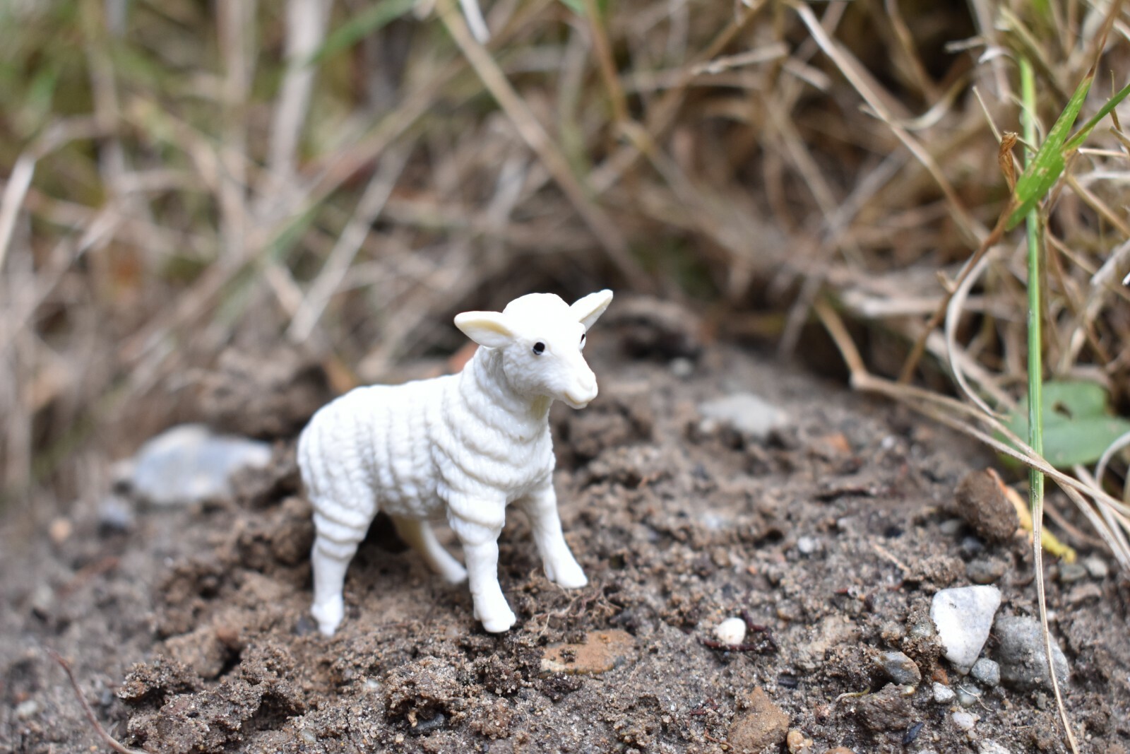 Sheep, Lamb Small Toy Model Plastic Replica Barn Farm Animal, 2.25″ F4152