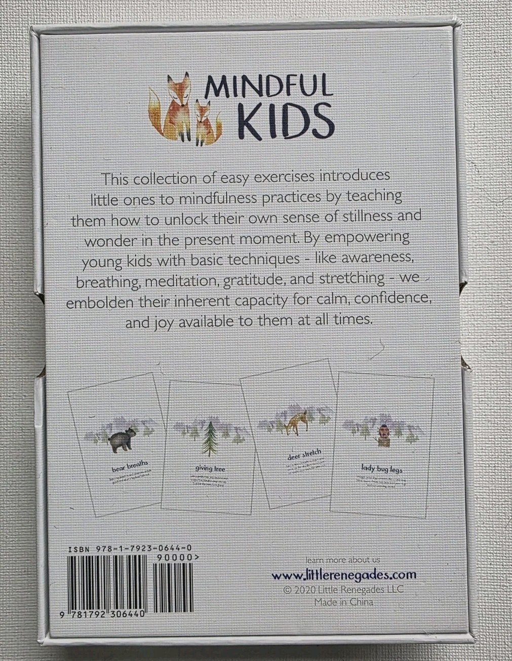Little Renegades Mindful Kids Cards Everyday Exercises for Confidence & Joy