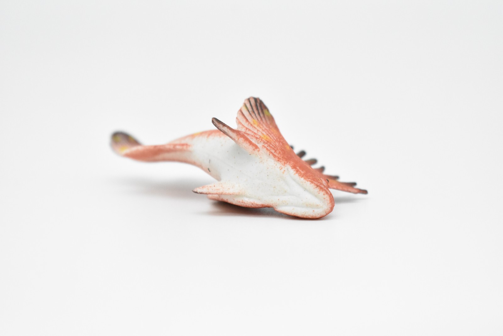 Spotted Kelpfish, Tropical Fish, Ocean, Plastic, Realistic Figure, CWG271B46