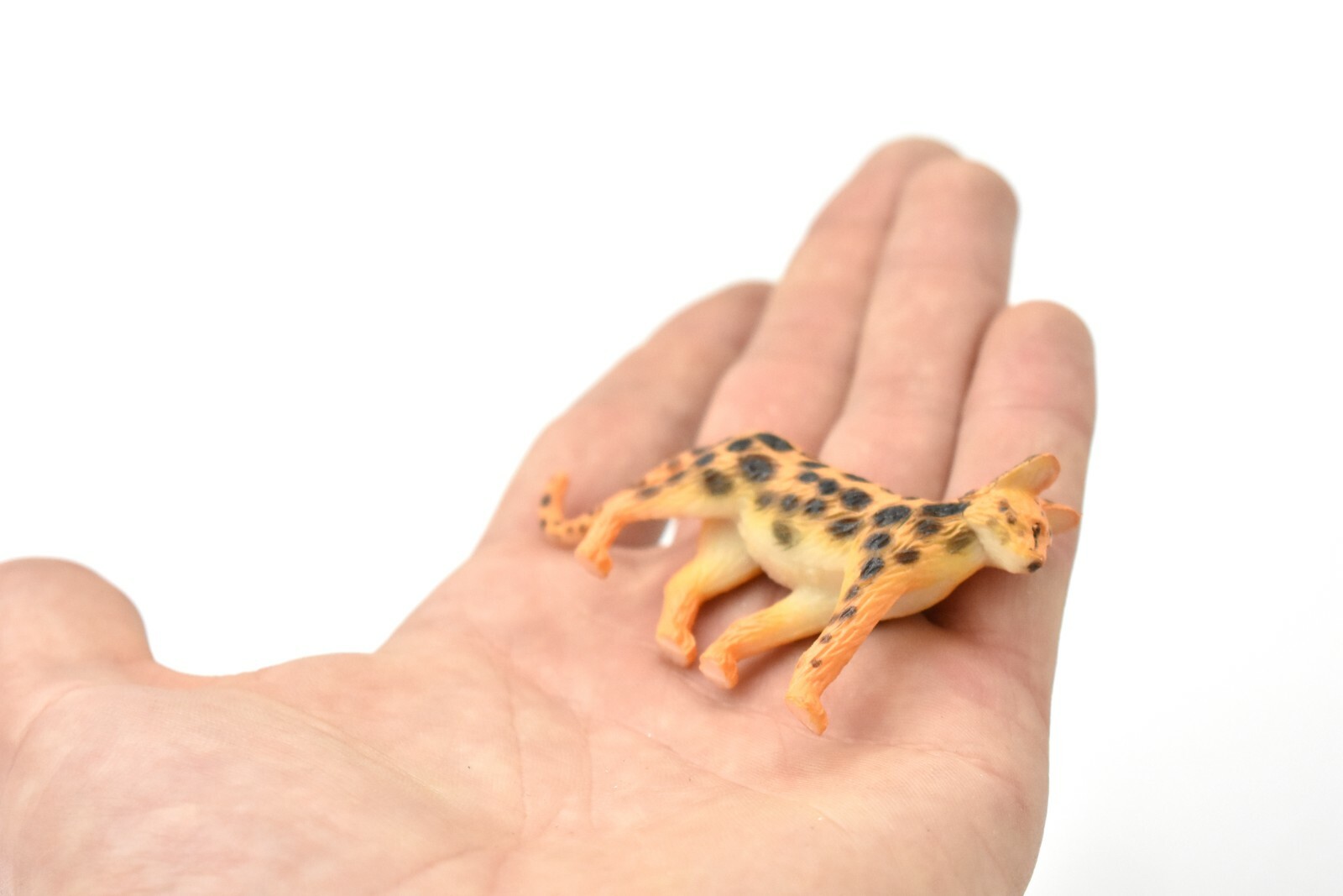 Serval Cat, Plastic Replica 3″L x 1.7″T ~ F4445B55