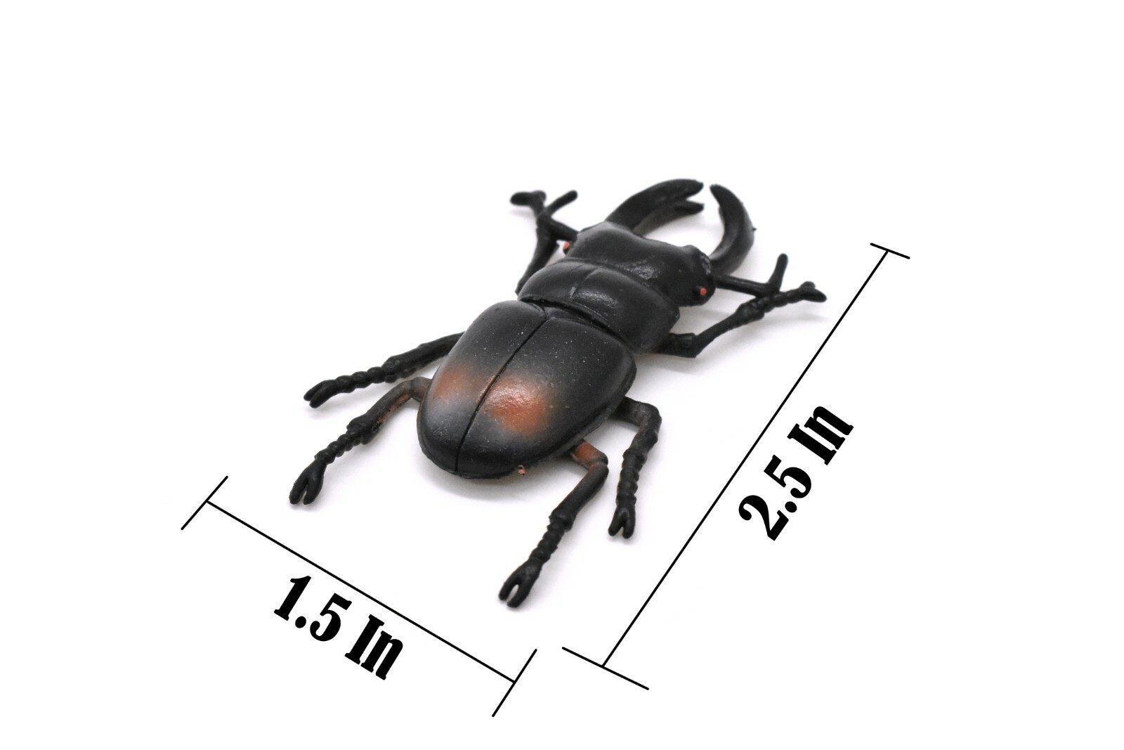 Stag Beetle, Very Nice Rubber Reproduction 2 1/2″ CWG06 B13