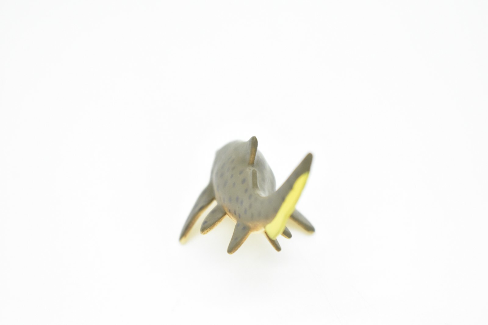 Zebra Shark, Very Nice Plastic Replica 3″ – F239 B76