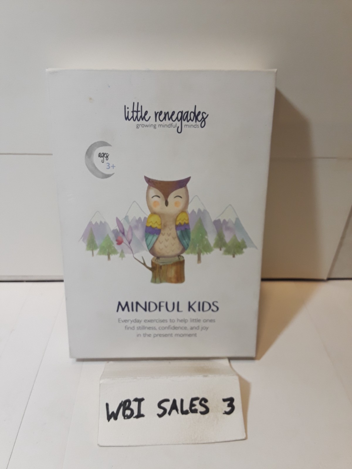 Little Renegades Mindful Kids Cards Ages 3+ Daily Exercises of Mindfulness