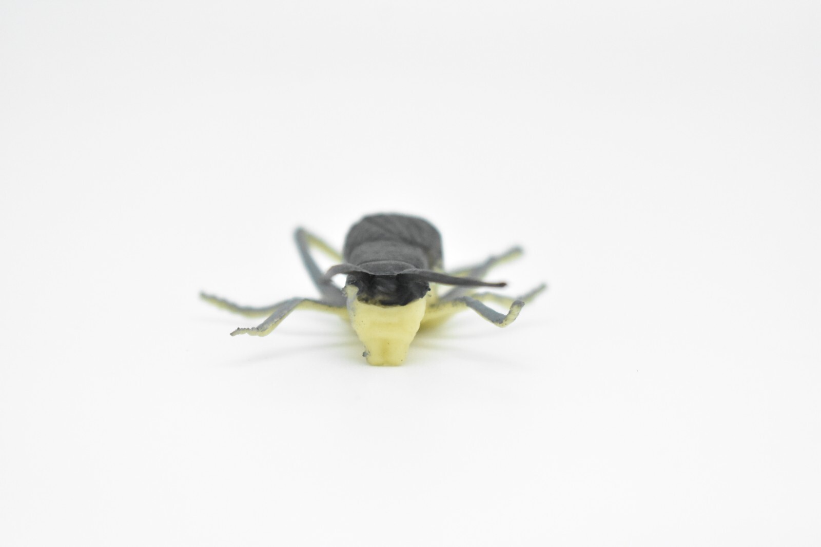 Cricket, Rubber Toy Animal, Realistic Figure, Model, Replica, Kids Gift 3″ F1058