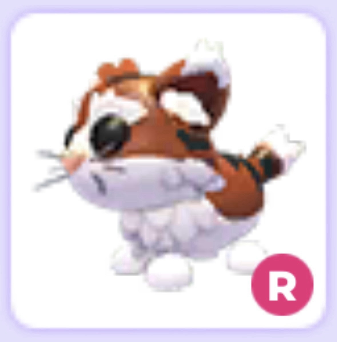 Ride R Munchkin Cat ❤️ Cheap ❤️ Adopt Me Pet