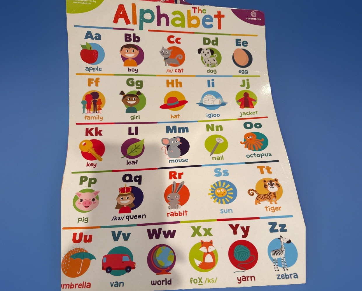 Educational Posters for Preschool Homeschool – Waterproof & Durable
