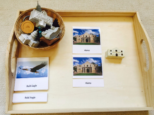 Montessori U.S. monuments 5 Parts Cards with Extra Large Replicas
