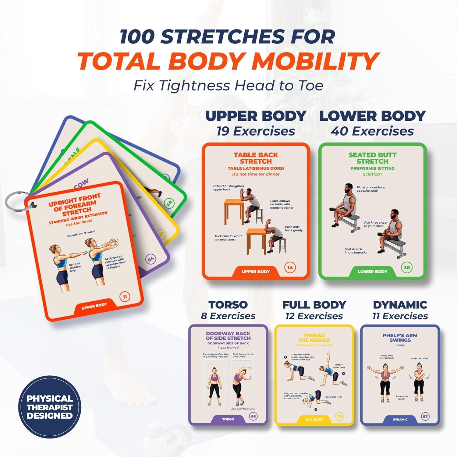 100 Stretching Exercise Flash Cards – Physical Therapy Stretches for Common C…