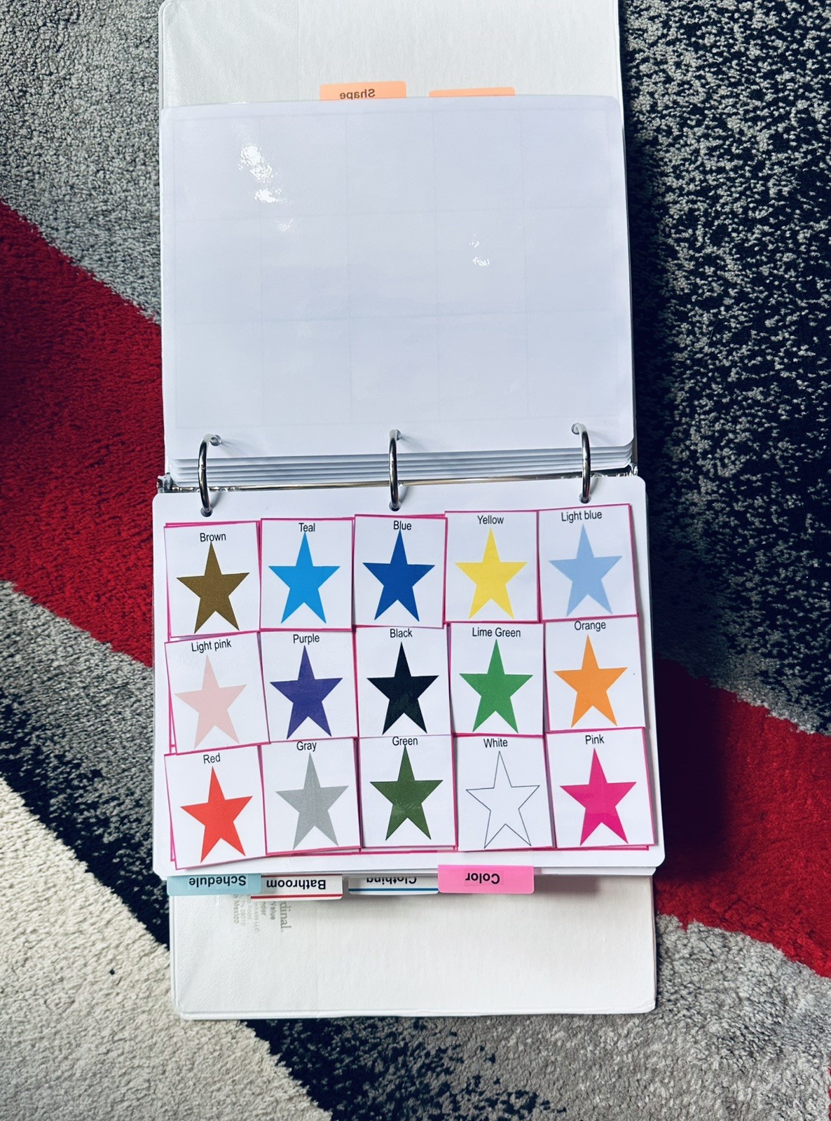 300 Pec Bundle teachers communication pictures Cards non verbal therapy autism
