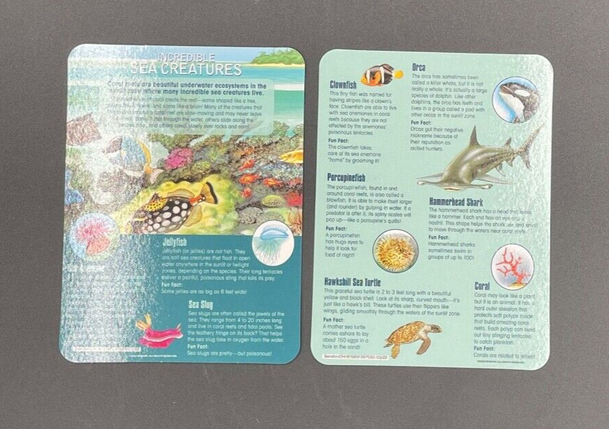 Magnetic Learning Activity S.T.E.M. Educational, Set of 3