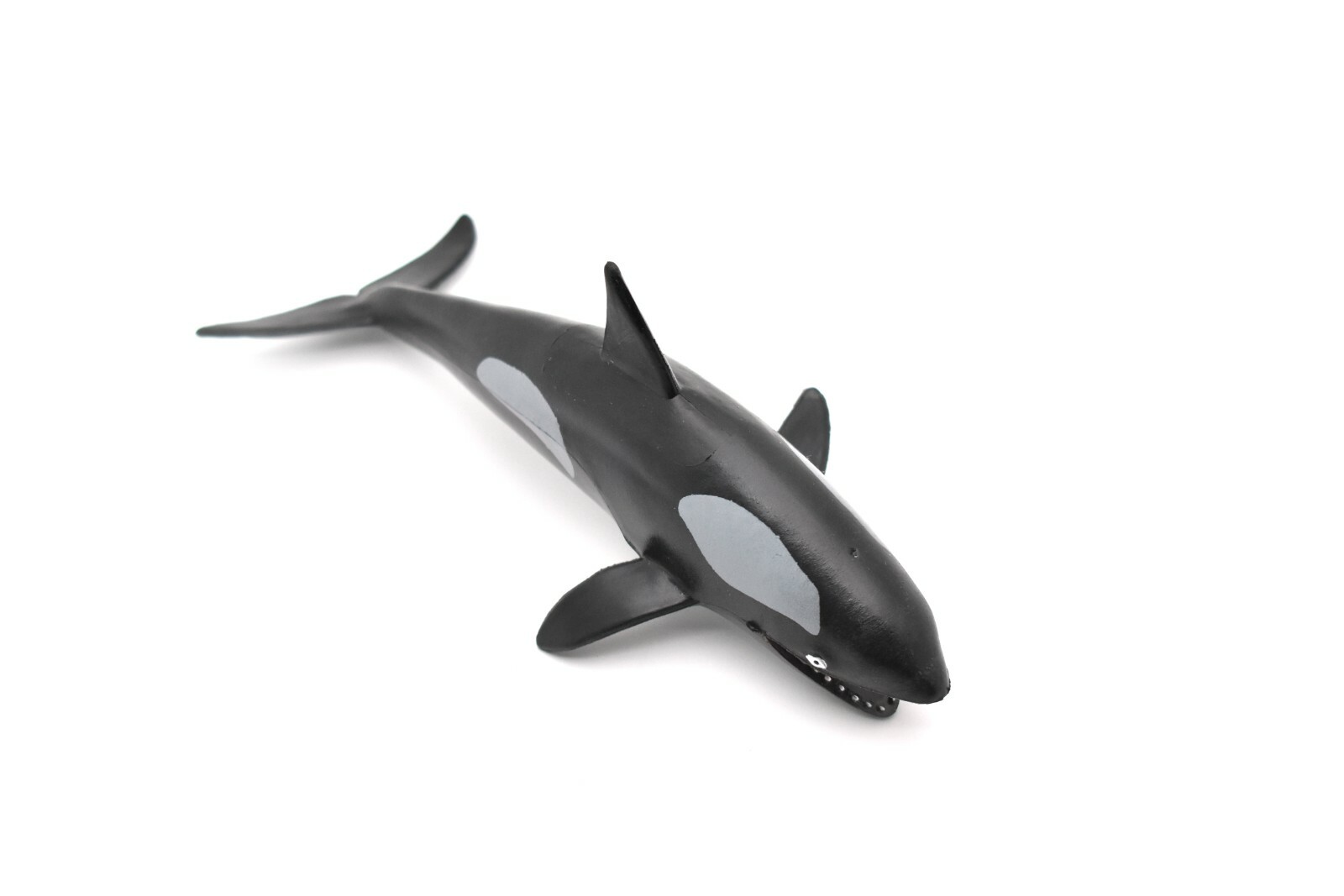 Orca, Killer Whale, Realistic Model Rubber Replica Animal, Kids Gift OK03 6″