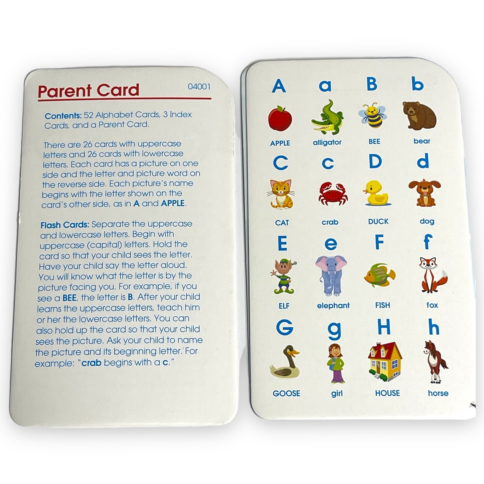 FLASH CARD HOMESCHOOL WEBBER GOLDEN SCHOLAR PHOTO EDUCATIONAL LEARNING