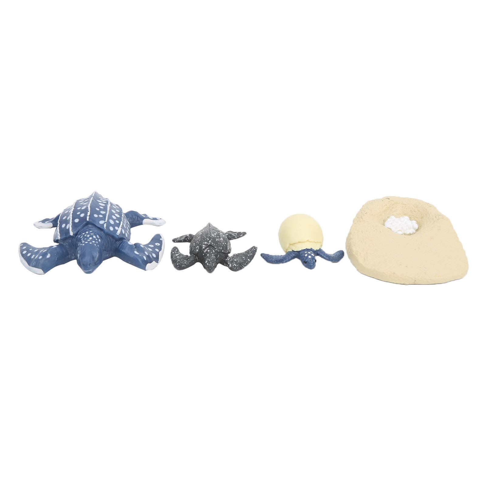 The Simulation Animal Model Sea Life Animals Life Cycle Cognitive Model