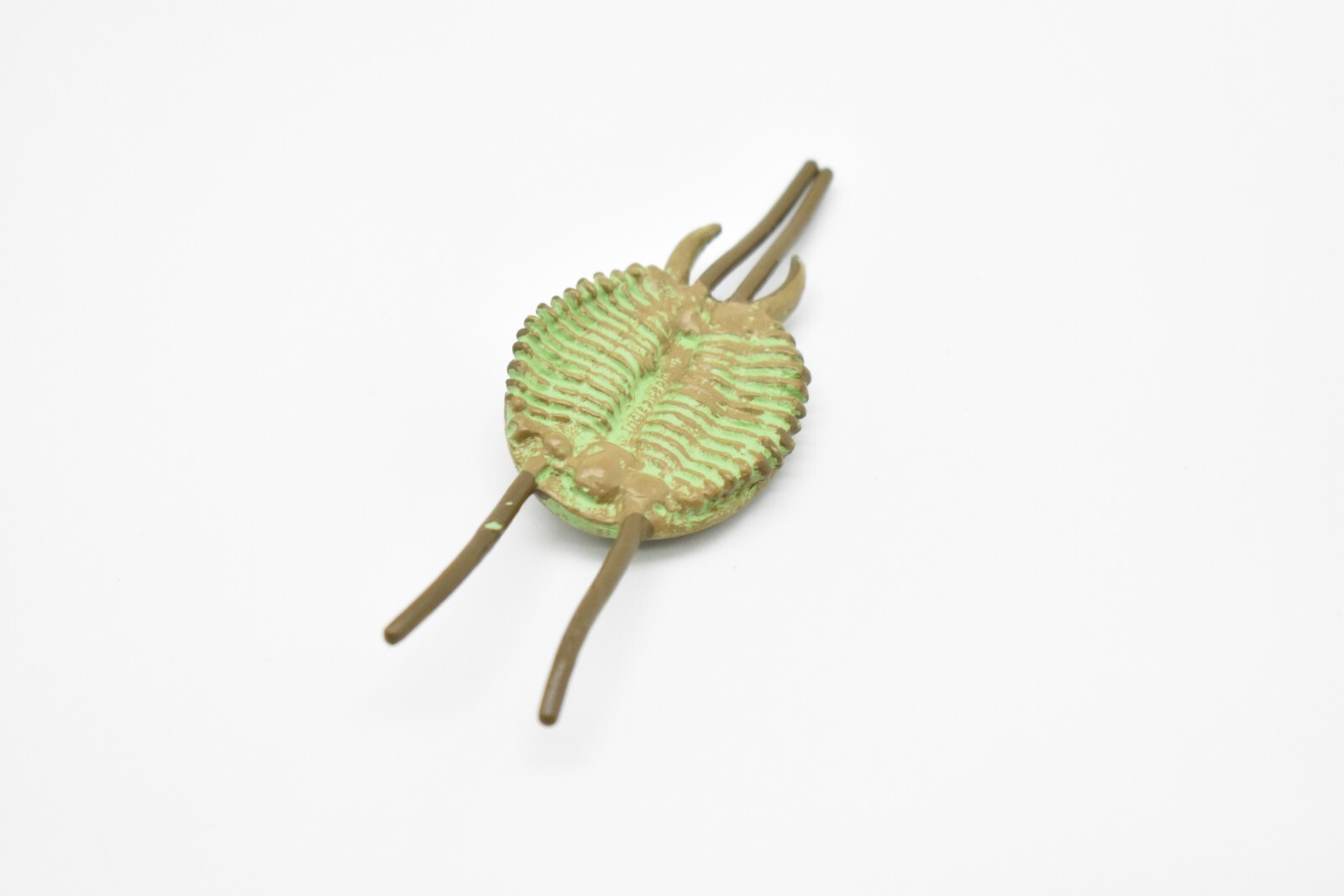 Tricrepicephalus, Trilobites, Fossil Toy Cambrian Sea Animal, Realistic Model